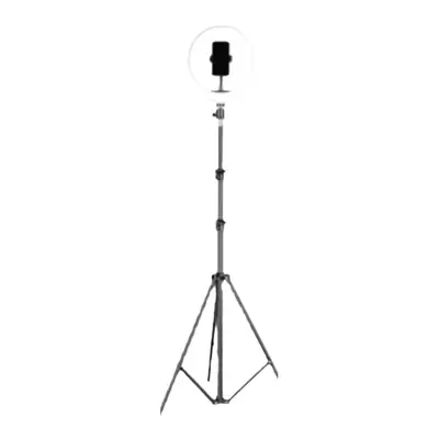 Mobile Phone Bracket Thermometer Floor Anchor Shooting Tripod
