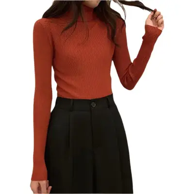Black Slim Fit High Collar Long Sleeve Top for Women