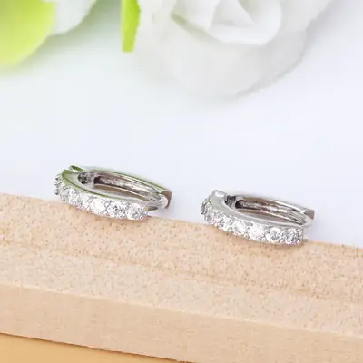 Single-row diamond ear buckle women's fashion temperament simple inlaid zircon Super Flash ear jewelry Korean version of niche design accessories wholesale