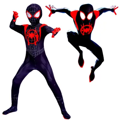Adult Spider-Man Hero Suit Red Blue Suit