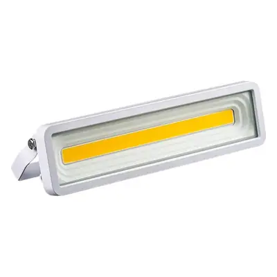 Factory Direct Outdoor Waterproof Led Floodlight 50W