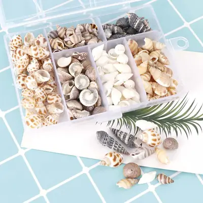 Mixed Shell Conch Decor for Aquarium & DIY Home