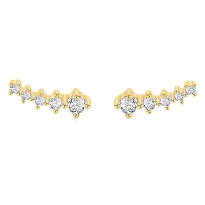 S925 Silver Meteor Earrings for Women