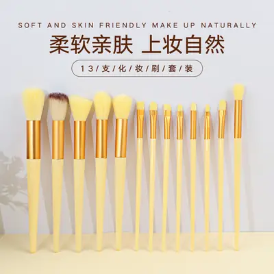 13-Piece Makeup Brush Set for Blush, Concealer, Eye Shadow