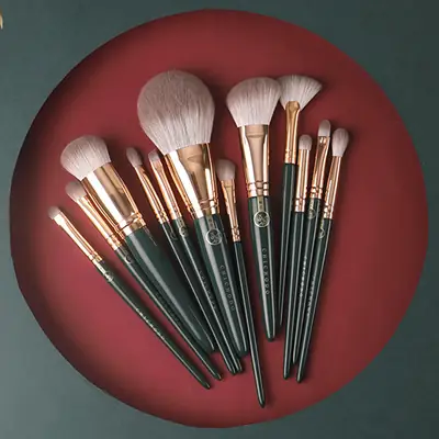 Cangzhou 10-Piece Makeup Brush Set with Animal Hair Brushes