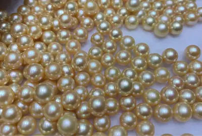 7-8mm Gold Skin Freshwater Pearl Beads Wholesale