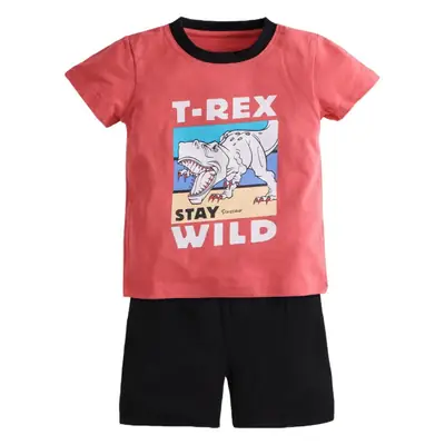 Kids Dinosaur Short Sleeve T-Shirt Shorts Set Turquoise