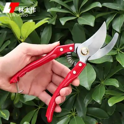 Garden pruning shears flower pruning scissors fruit tree shears pruning branch scissors strong pruning shears gardening scissors