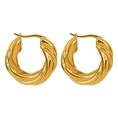 Tone Striped Titanium Steel Earrings 18K Gold