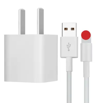 5V1A USB Fast Charger with European Plug