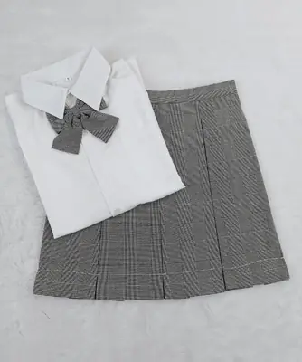 Gray Plaid Pleated Japanese Style Skirt