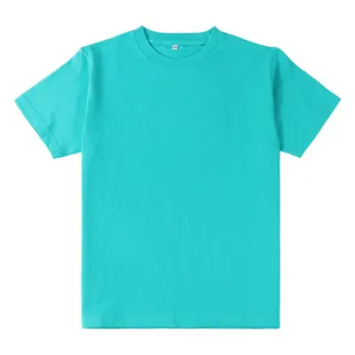 Mint Green Heavy Combed Cotton T-Shirt S