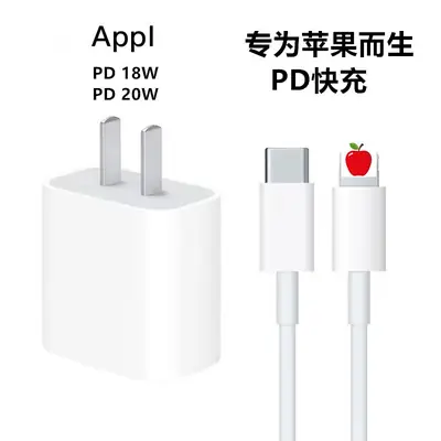 Apple iPhone PD20W Charging Cable with Type-C Head