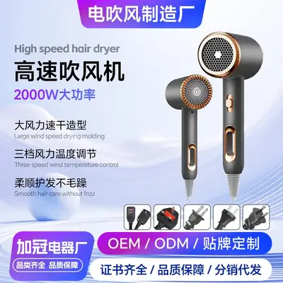 Cross-Border Hair Dryer Blue Light Ion Hot Cold Air