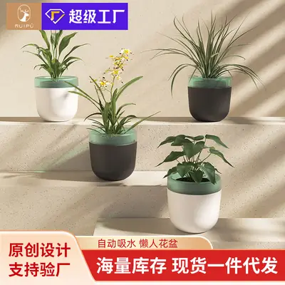 Self-Watering No-Watering Storage Flower Pot Lazy Watering Green Radish Resin Plastic Succulent Pot Self-Absorbing Water