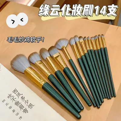 14-Brush Makeup Set Soft Silver Brushes for Foundation & Eye Shadow