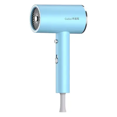 High Power Foldable Hair Dryer Pink Salon Use