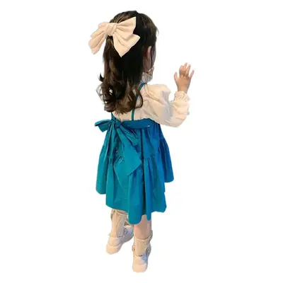 Girls 2024 Autumn New Fake Two-Piece Dress Baby Girl Long Sleeve Princess Dress Autumn Dress Dress 6203