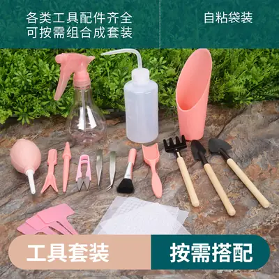 Fleshy Plant Planting Tools Combination suit Flower Planting Gardening Supplies Potted Plant Tools Spraying Pot Gardening Wholesale