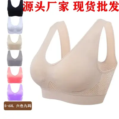Black Hollow Mesh Sports Bra Non-Rimless Women