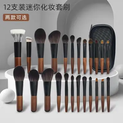 12-Piece Mini Makeup Brush Set with Zipper Case