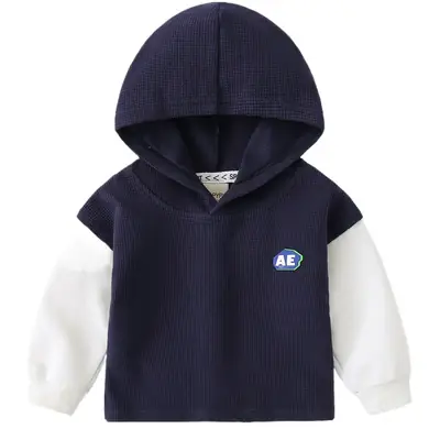 Boys Hooded Sweatshirt 2024 Korean Style Dropshipping