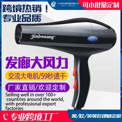 Professional Hair Dryer with Cold Ion Technology Black
