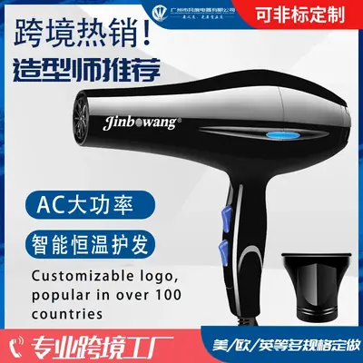 Jinbo Wang Electric Hair Dryer Black High Power