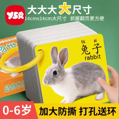 90+ Card Early Education Toy for Kids