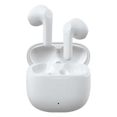 Wireless Binaural Bluetooth Headset with Charging Case