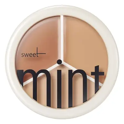 Sweet Mint 3-Color Concealer Foundation Cream Makeup Brush Set