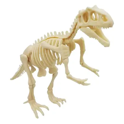 Dinosaur Fossil Skeleton Model for Kids DIY Assembly