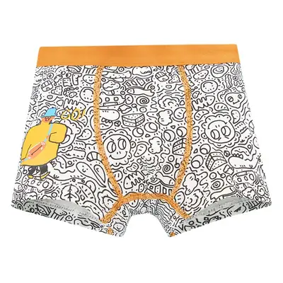 3D Boys Cartoon Underwear Cotton Boxers Small to XL