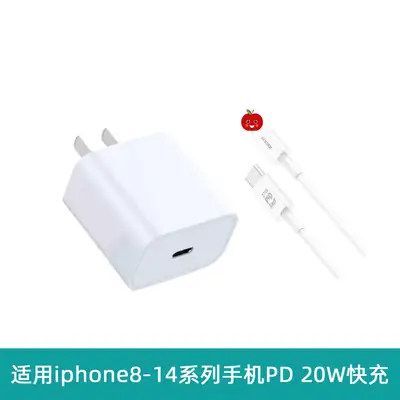 20W Fast Charging iPhone 8-14 Universal Charger