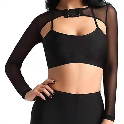 See-Through Mesh Crop Top with Transparent Front Placket & Long Sleeves
