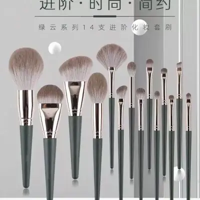 Cangzhou Luyun 14-Piece Makeup Brush Set for Beginners