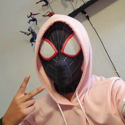 Spider-Man Black Mesh Head Cover Halloween Mask
