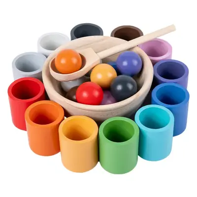 12 Color Ball & Cup Educational Toy for Kids