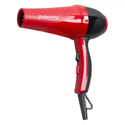 Vietnam Professional Red Hair Dryer with Negative Ion Technology