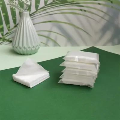 Wholesale Non-Woven Cotton Makeup Sheets 25 Pcs