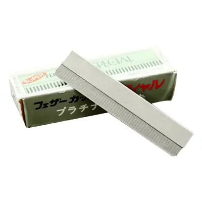 10 Pcs Platinum Shiny Eyebrow Blades for Precision Trimming