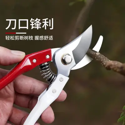Gardening pruning shears coarse branch shears fruit tree bonsai pruning tools stainless steel floral scissors flower shears