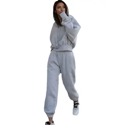Women's Pink & Grey Sweatpants Set Casual Winter Track Suit