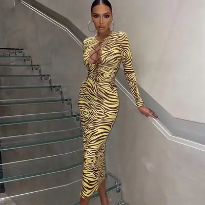 Printed Long Sleeve Slim Fit Dress for Women 2022