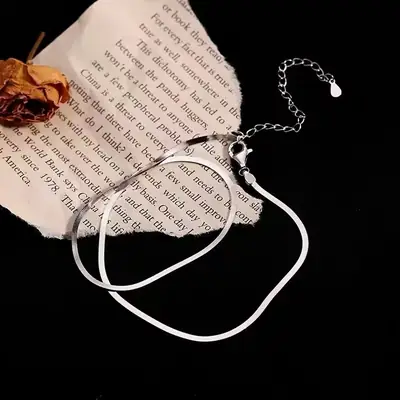 s925 Sterling Silver Snake Bone Chain New Entry Luxury Niche Simple Neck Chain Women's Summer Fashion High-End Cool Style Necklace