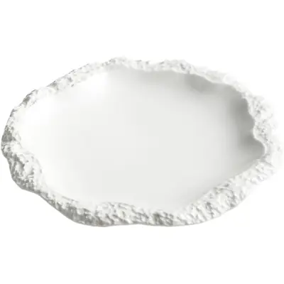 White Rock Patterned Flat Plate Dish 2024 New