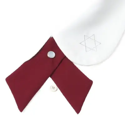 Women's Wine Red Bow Tie Photo Graduation Set