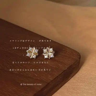 Mini Zircon Earrings 925 Silver Needle Plating