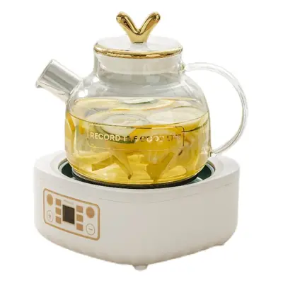 700W Multi Function Health Hot Water Heater for Home