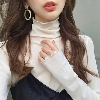 2025 Korean Chic Half Turtleneck Mesh Top for Women